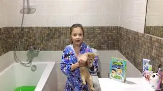 Gelli Baff