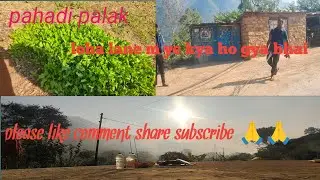Pahadi palak #newvlogvideo 