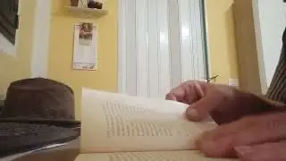 Gatti romanzieri. Il Commissario Fontanelli (Parte 3).