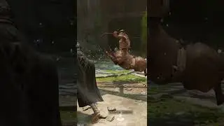 Hogwarts Legacy Centaur Glitch