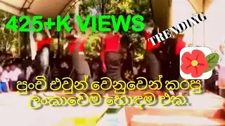 Nonstop Dance එක මාරම ලස්සනයි, බැලුවොත් හැමෝම copy කරයි