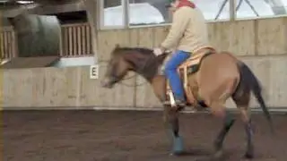 Jan Zweers Basic Training