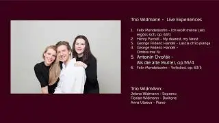 Trio WidmAnn - Live Experiences
