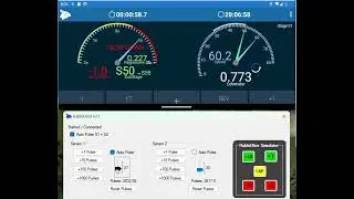 Rabbit Regularity Gauges Simulation