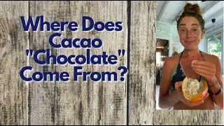 Where does Cacao come from?