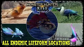 All Endemic Lifeform Locations in Monster Hunter Rise Gold Ecologist's Award