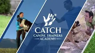 CATCH Trainer's Take: Puppy Connection - Spark the Recall