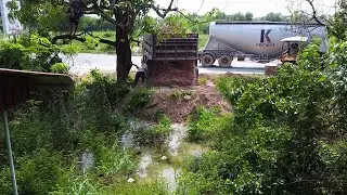 Start New Project Filling Flooded Pond!! Strong Dozer Komatsu Pushing Soil Into Water & 5ton Truck.
