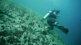 Coron Dives II Barracuda!