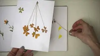 Flower Press Unveiling - Natural Dye Plants