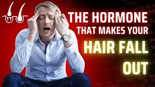 What High Cortisol Does to Your Hair (Explained Simply)