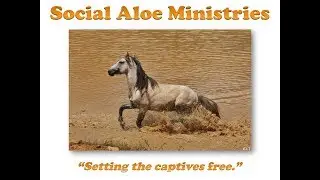 Bible Study (1 Samuel 28): Was it Samuel or a familiar spirit? 🤔