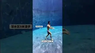 Este Hombre Encontr&oacute; Cocodrilos En El Fondo De La Piscina 😱