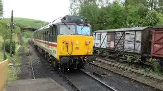 50031 