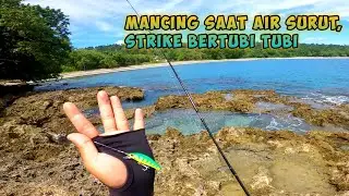 Saat air laut menjelang surut, ikan pasti serakus ini melahap umpan