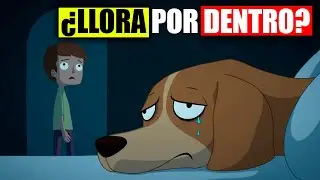 Si tu perro LLORA mientras DUERME, &iexcl;NO lo IGNORES!