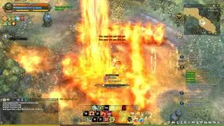Tree of Savior Pyromancer effects after-patch