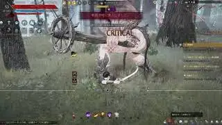 黒い砂漠   366646 2020 09 03 17 21 20