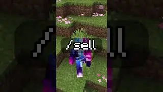 This money method is insane! #minecraft#donutsmp #minecraftsmp #mc #nightvanilla #minecraftserver