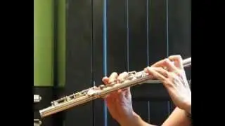 Alexander Eppler Handmade Flute (Used) - Demo of Low to Mid Registers