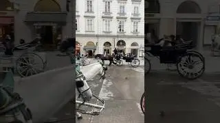 Vienna🏙️ #love #viral #explore #funny #vienna #youtube #art #music #youtubeshorts #america #africa