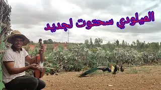 لميودي سحتوت الجديد حصريا