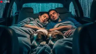 🔴 LIVE: Cozy Car Rain at Night 🌧️ Gentle Thunder for Deep Sleep (24/7)