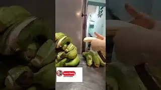 video completo canal tostones o patacones crujientes #comida #patacones #platanos #Food #viral #fyp