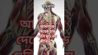 আমাদের হাড় আসলে জীবিত! | Your Bones Are Alive & Repair Themselves 🦴#amazingfact #shorts #bodyfacts