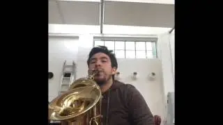 TUBAX or Bass saxophone ?