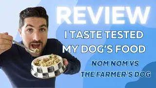 The Farmer's Dog vs. Nom Nom (Picky Eater Taste Test)