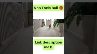 Chew  Ball 🏀 for Dog 🐶 and Puppies 🐕#shorts #youtubeshorts
