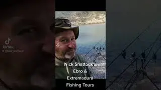 Absolutely Crazy Ebro Carp fishing Session over 75 fish in 48 hours.