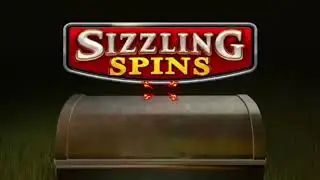 X500 slots games: Sizzling Spins