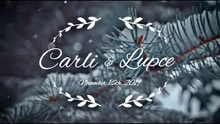 Carli + Lupce Wedding Film | 11.16.19