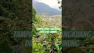 Pemandangan Camping Ground Rawa Cangkuang dari Atas Gunung Sukamakmur Puncak 2 #siturawagede