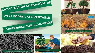 Gu&iacute;a de Biocarb&oacute;n para Cafetales Rentables y Sostenibles | Biochar for Coffee Farms