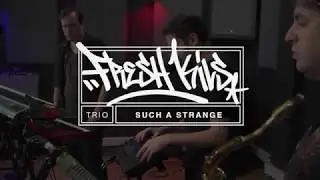 The Fresh Kils Trio perform 