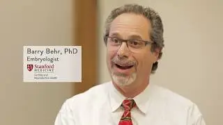 Barry Behr, PhD &ndash; Fertility and Reproductive Health, Stanford Medicine