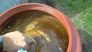 Soap from Biodiesel