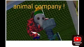 Anmail compady