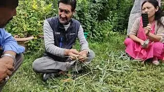 Grafting krne ka tarka #ldakh #nubra 