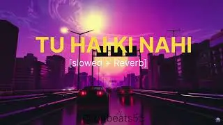 Tu Hai Ki Nahi Slowed Reverb - Lofi Beats 01