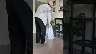 The BEST dog costume 🐶👻 #shorts #shortvideo #dogshorts #halloween #trending