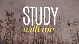 15-Minute Calm Study Session &bull; Focus Music &bull; No Distractions