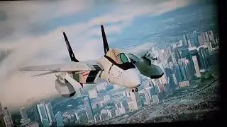 Tomcat Tribute : The Fall Guy 