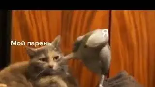 Когда он лайкнул какую то телку в инсте. Мр филд