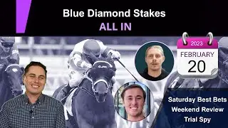 🎯 All In | Free Horse Racing Tips for Blue Diamond Stakes | Group 1 Galore🎯