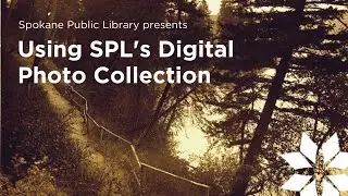 Using SPL's Digital Photo Collection
