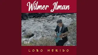 Lobo Herido